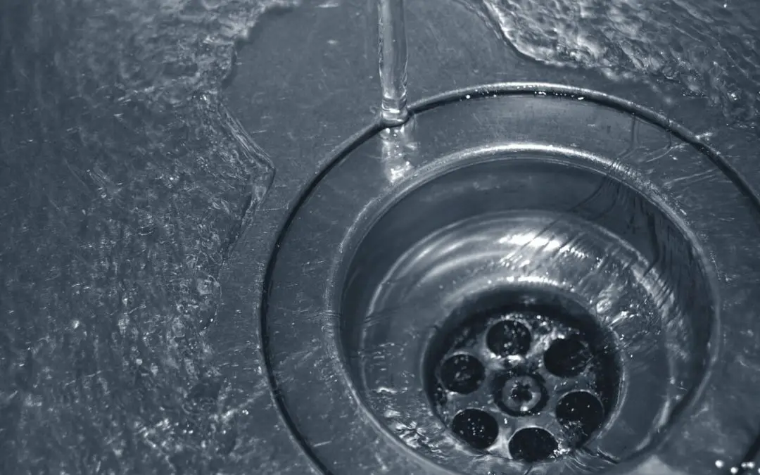 Plumbing Maintenance for Homeowners: What You Need to Know