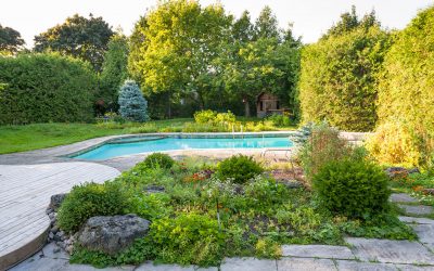 5 Ideas for Landscaping Around Your Pool