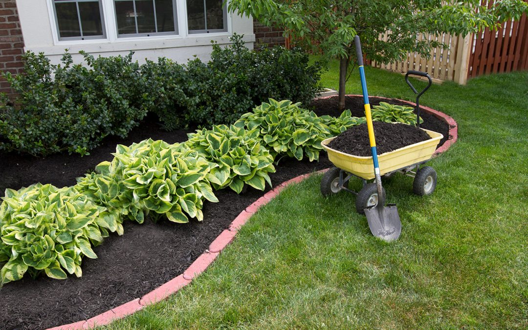 be a better homeowner by keeping the landscaping attractive