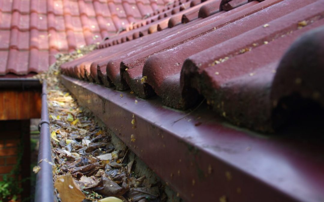 clean your homes gutters
