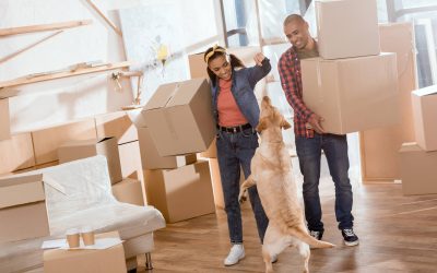Top 10 Moving Tips for a Seamless Transition